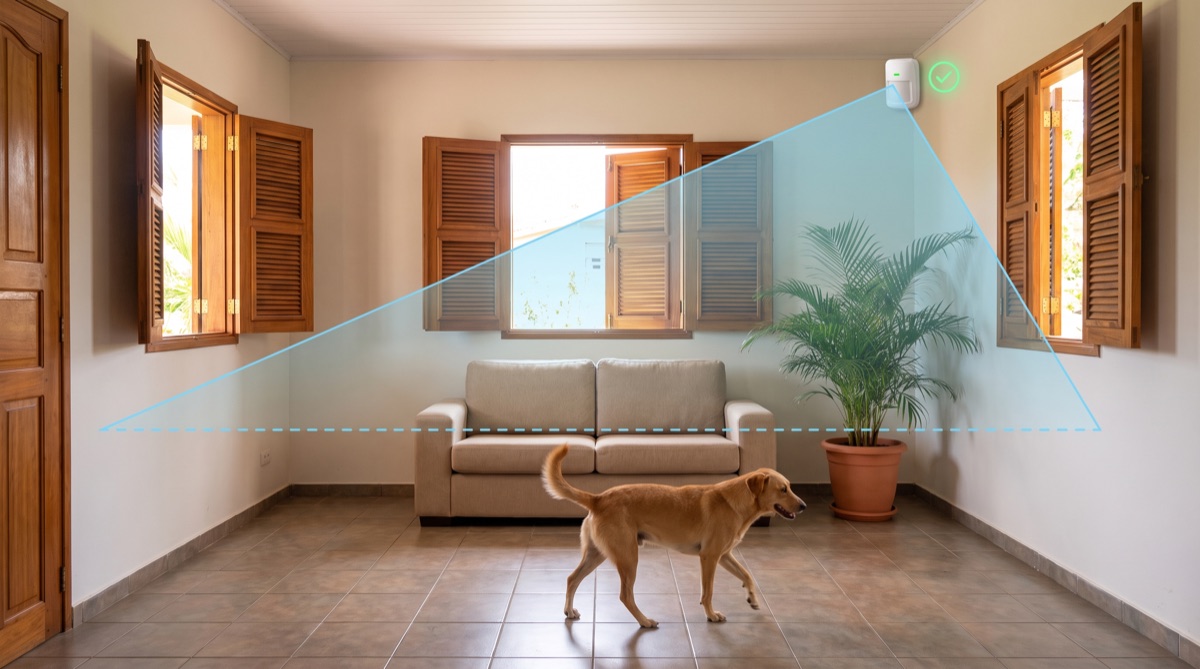 Schéma : détecteur de mouvement compatible animaux dont la zone de détection passe au-dessus d’un chien circulant au sol dans un salon en Martinique